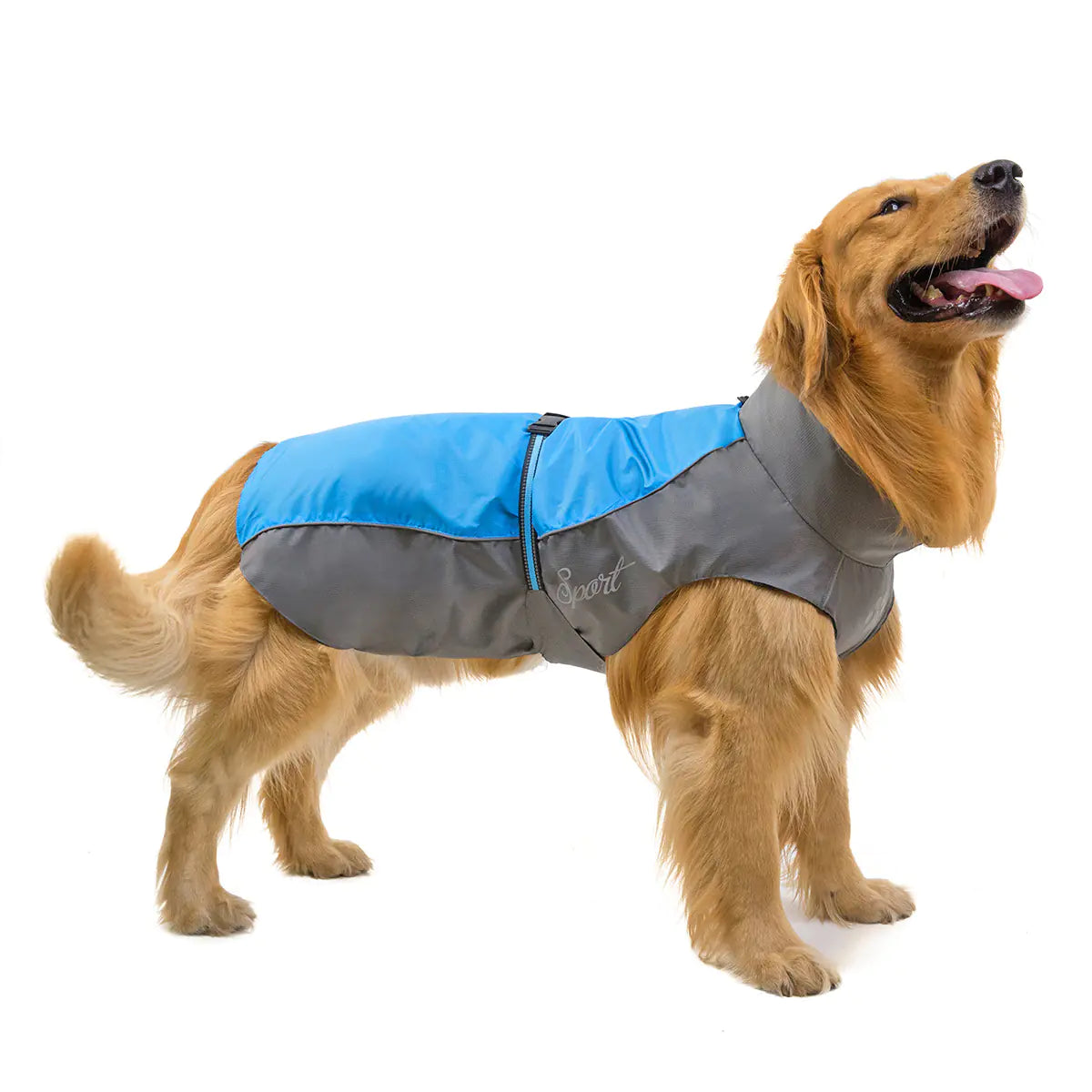 Big Dog Raincoat for Golden Retriever & Husky