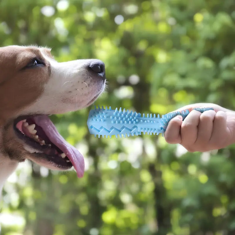 Dog Dental Stick Toy for Aggressive Chewers, Large Breed