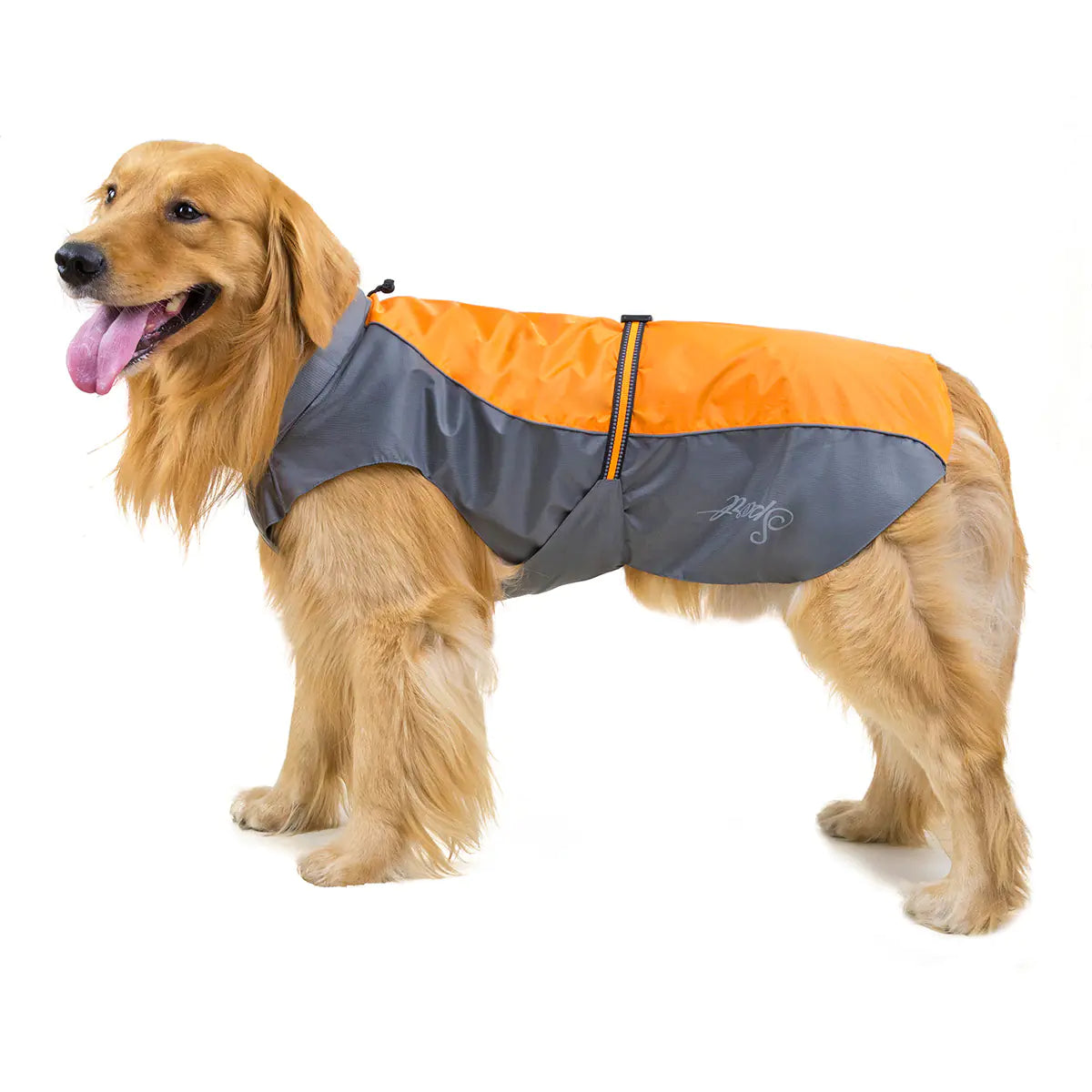 Big Dog Raincoat for Golden Retriever & Husky