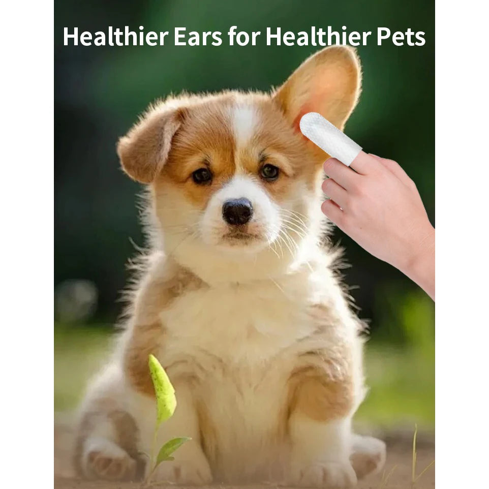Pet Eye Wipes for Dogs & Cats