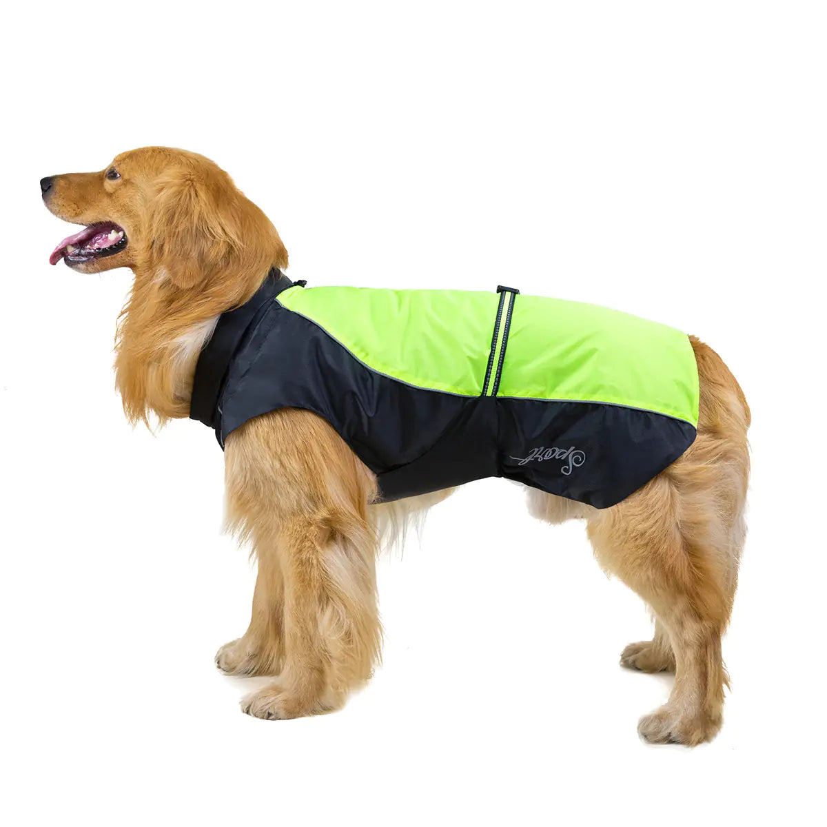 Big Dog Raincoat for Golden Retriever & Husky